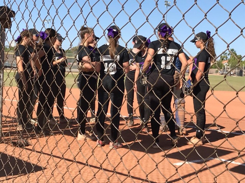 ACP Softball Reaches New Heights, Falls Short at State Tournament