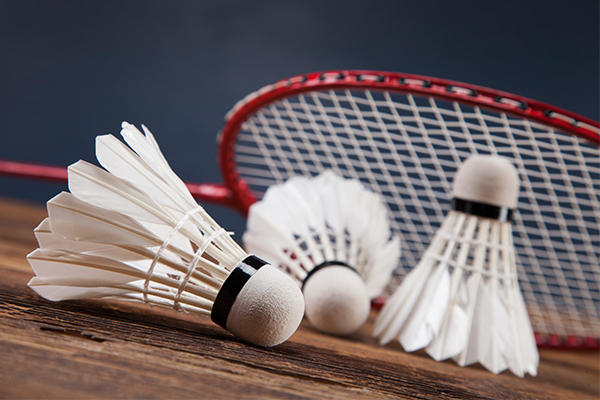 Badminton Dishes out Aces at State