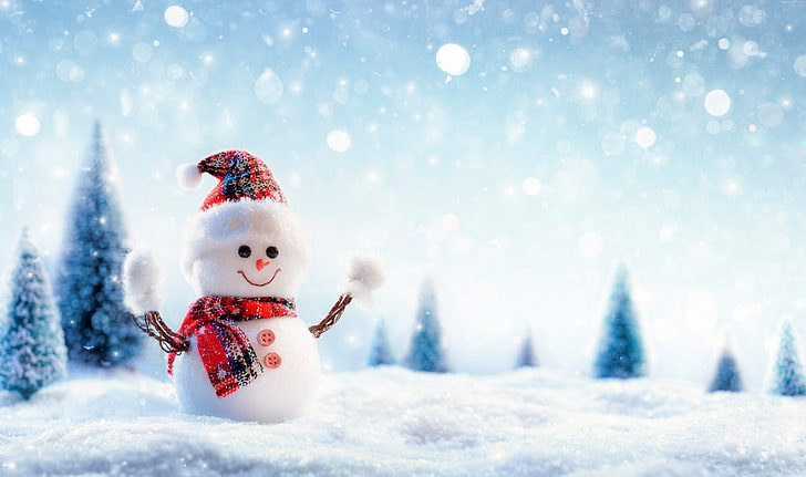 Photo from: https://www.wallpaperflare.com/8k-snowman-winter-new-year-christmas-wallpaper-qluwn