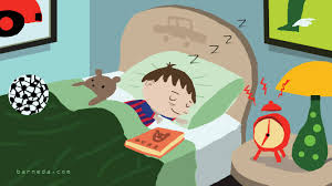 What Does Our Brain Do When Were Sleeping?