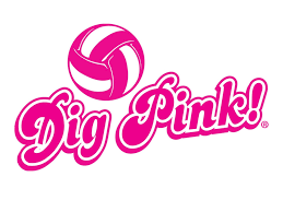 The Dig Pink Volleyball Game