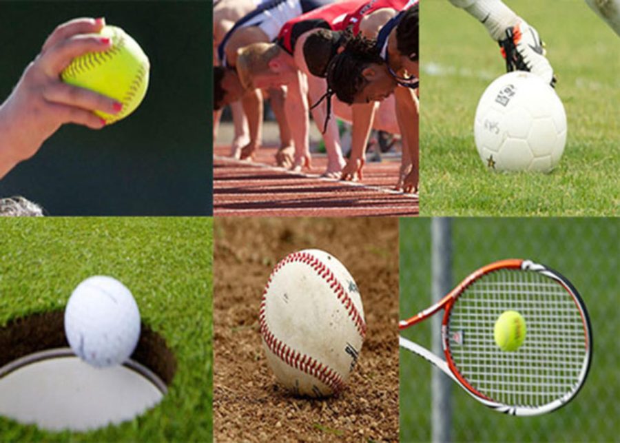 Spring Sports Tryout